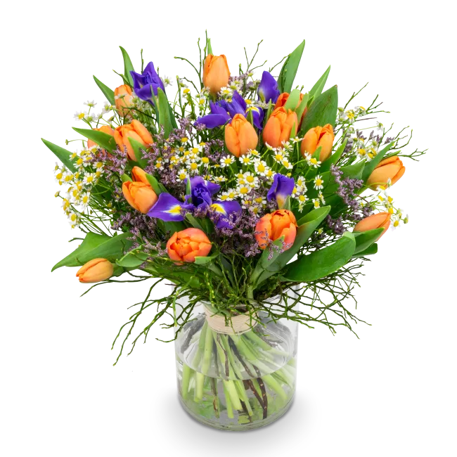 Bouquet of spring flowers